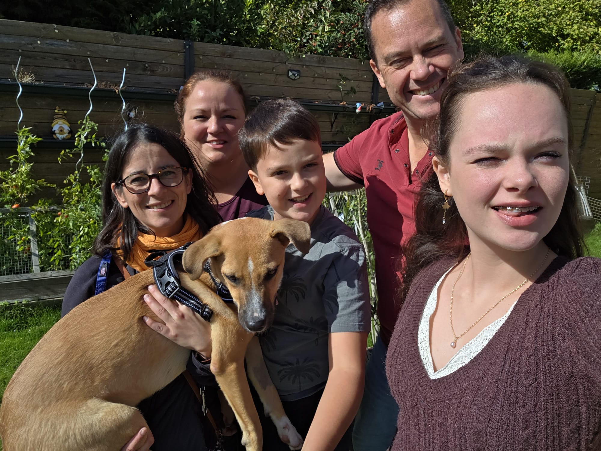 Hercule, récupération