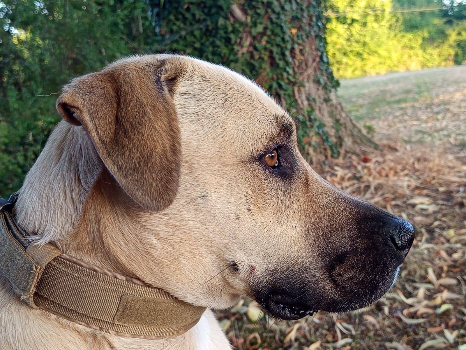 azzu/photo-1753990977823-10.jpg
