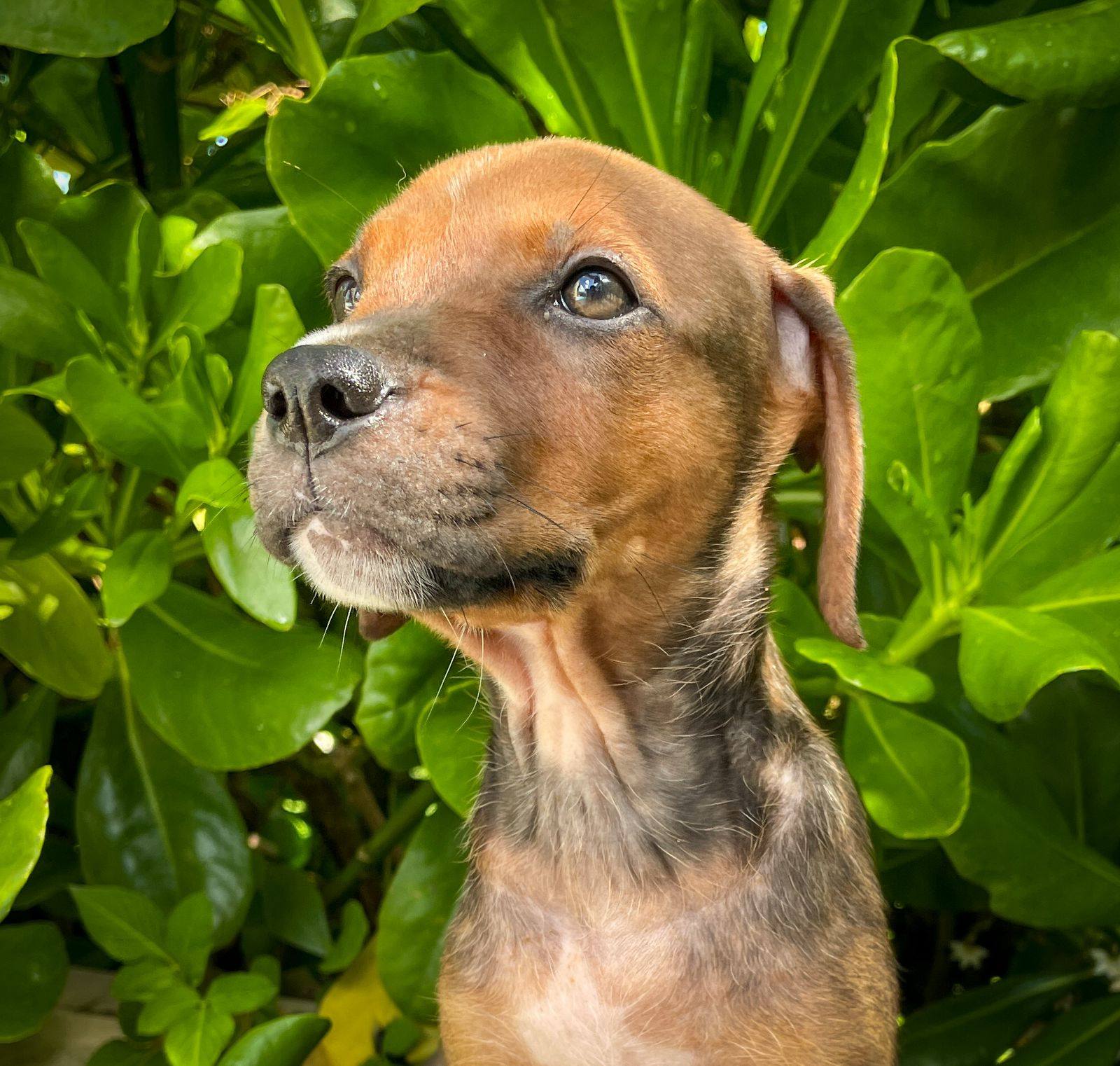 dori/photo-1753990635974-01.jpg