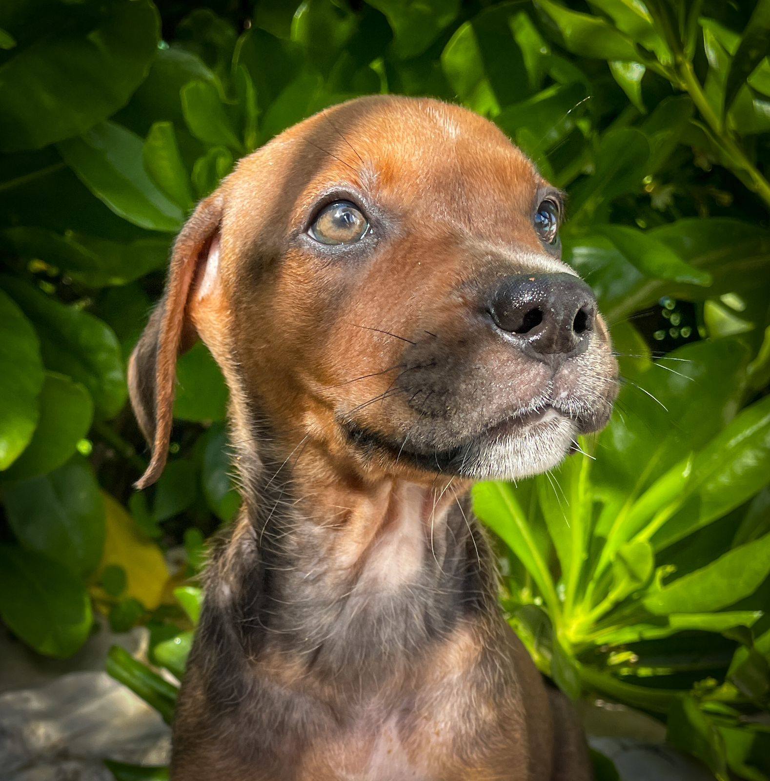 dori/photo-1753990640227-05.jpg