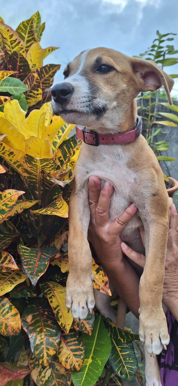 freyja/photo-1758359724874-03.jpg