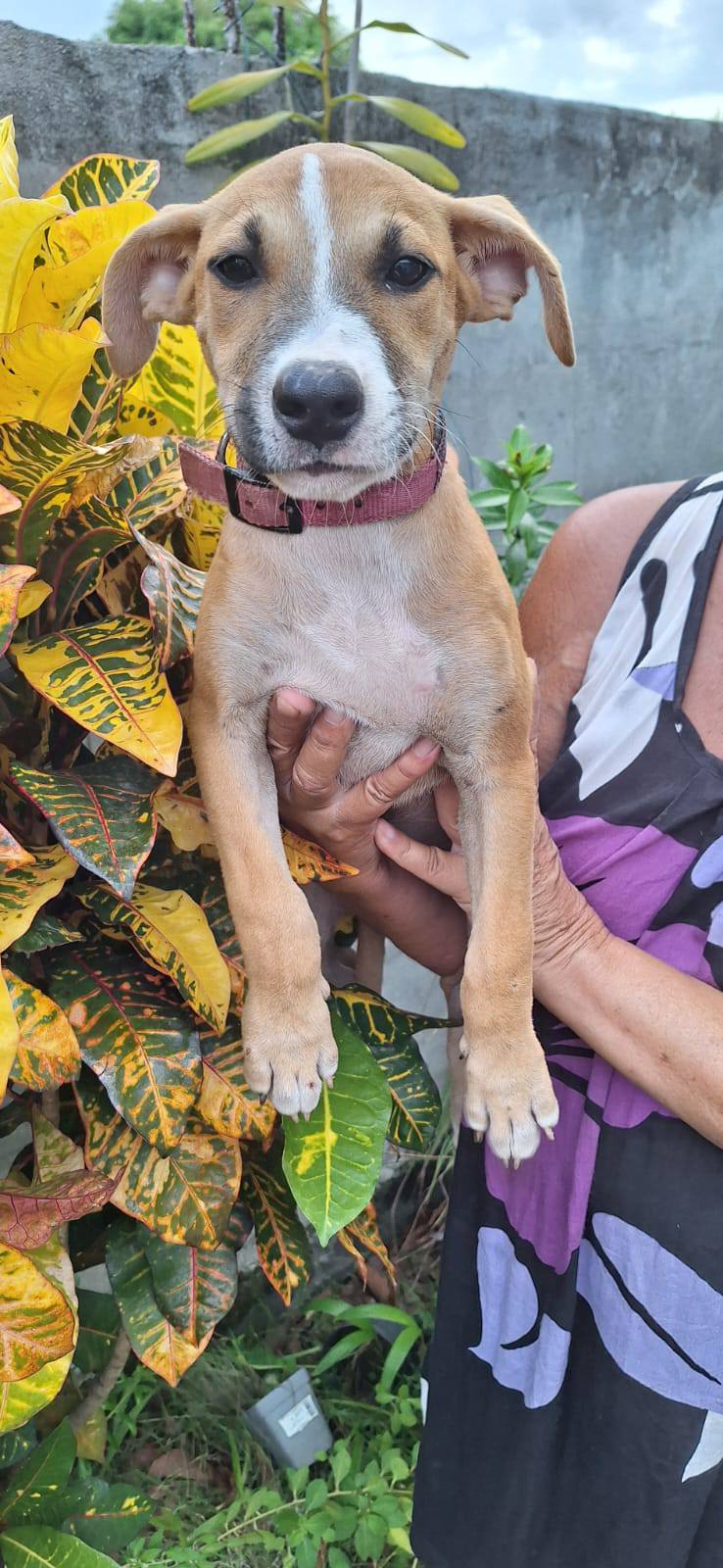 freyja/photo-1758359725959-04.jpg