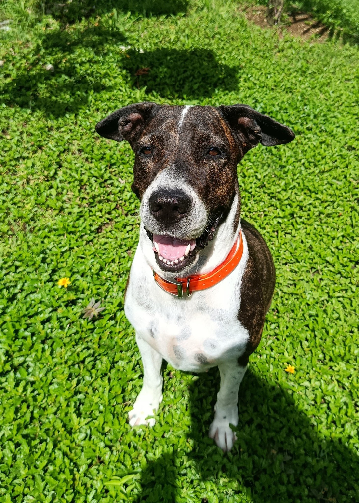 frida/photo-1753990927815-01.jpg