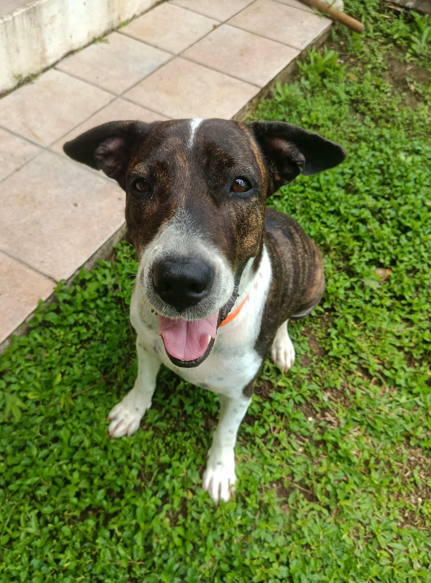 frida/photo-1753990928880-02.jpg