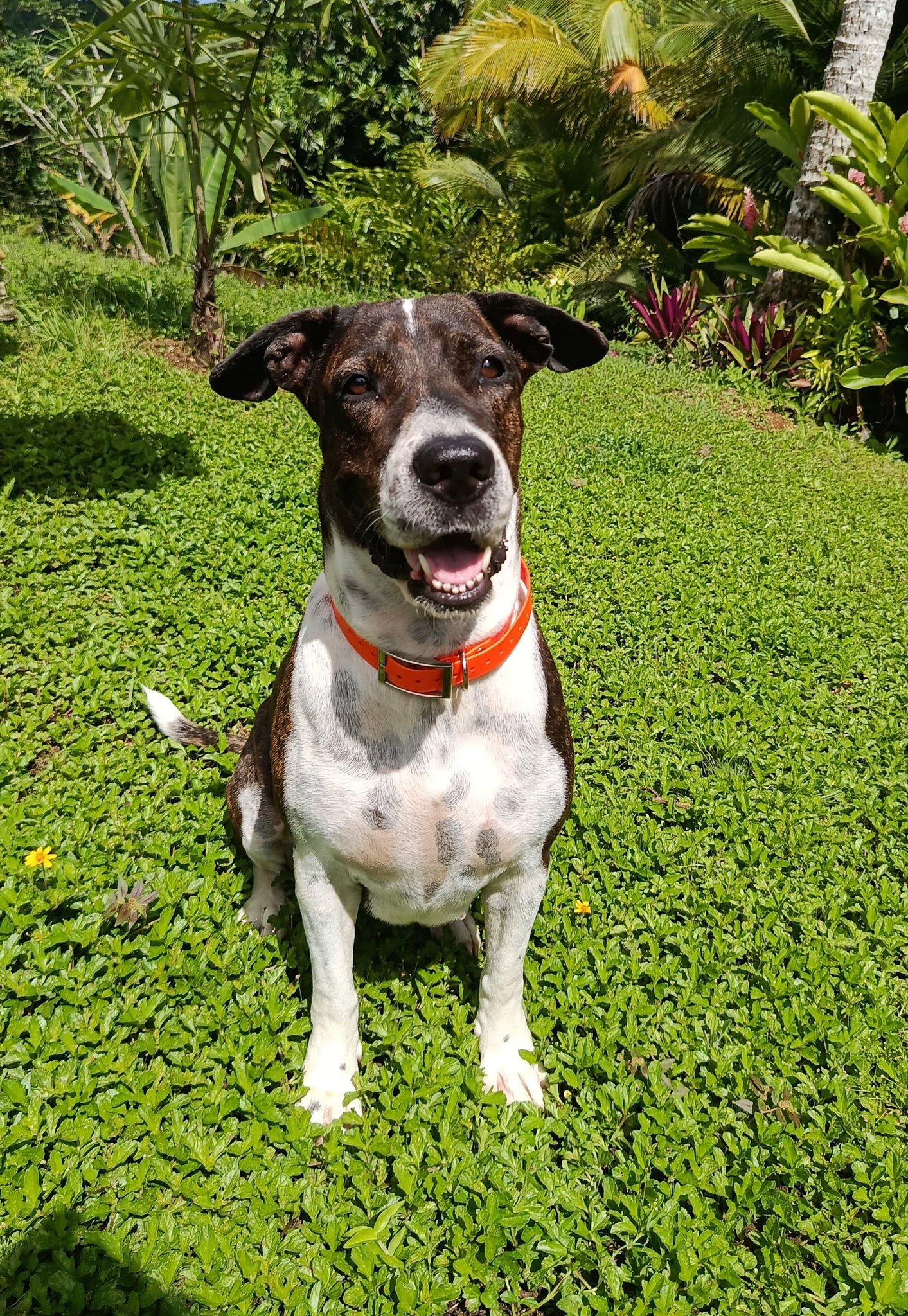 frida/photo-1753990931079-04.jpg