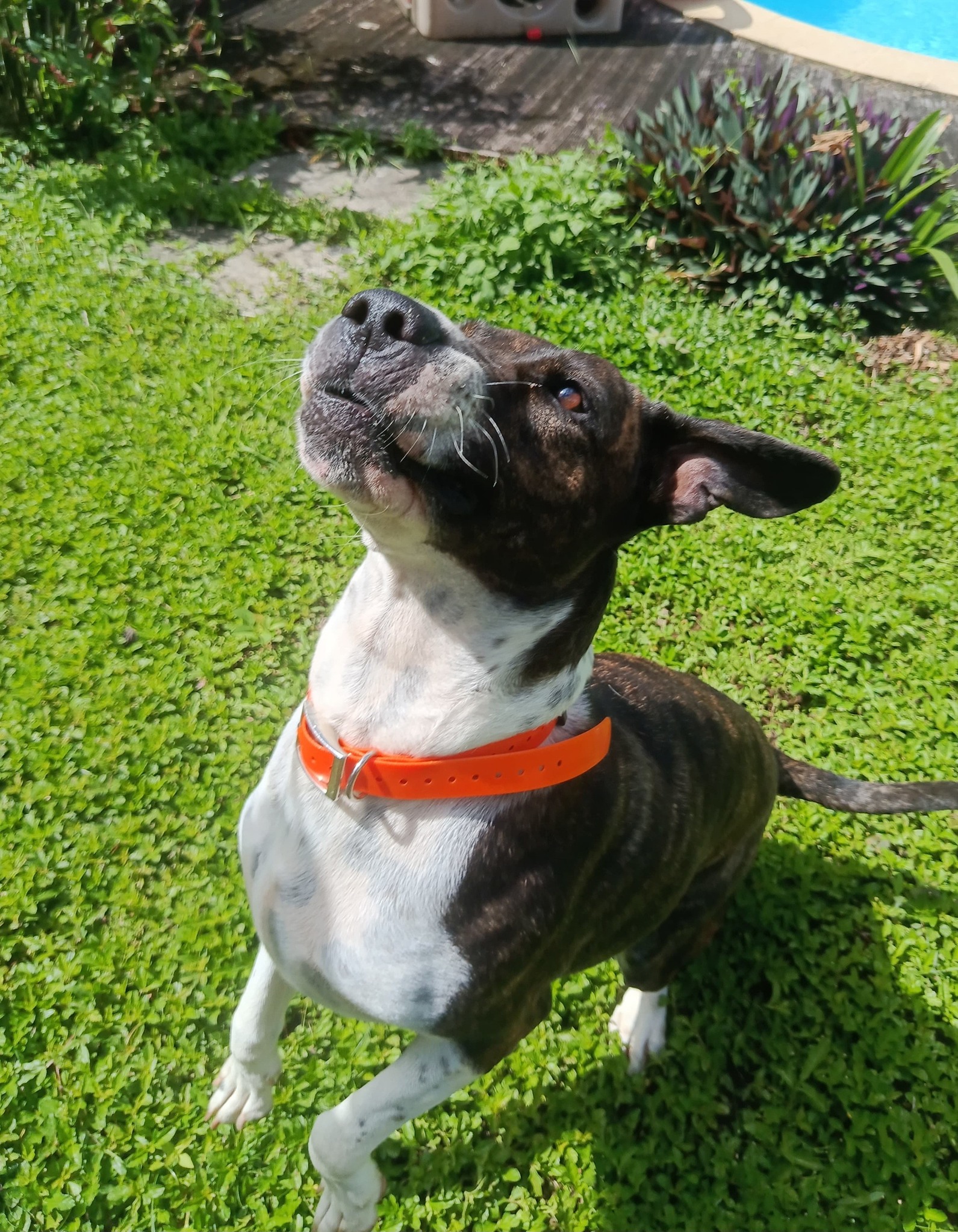 frida/photo-1753990933300-06.jpg