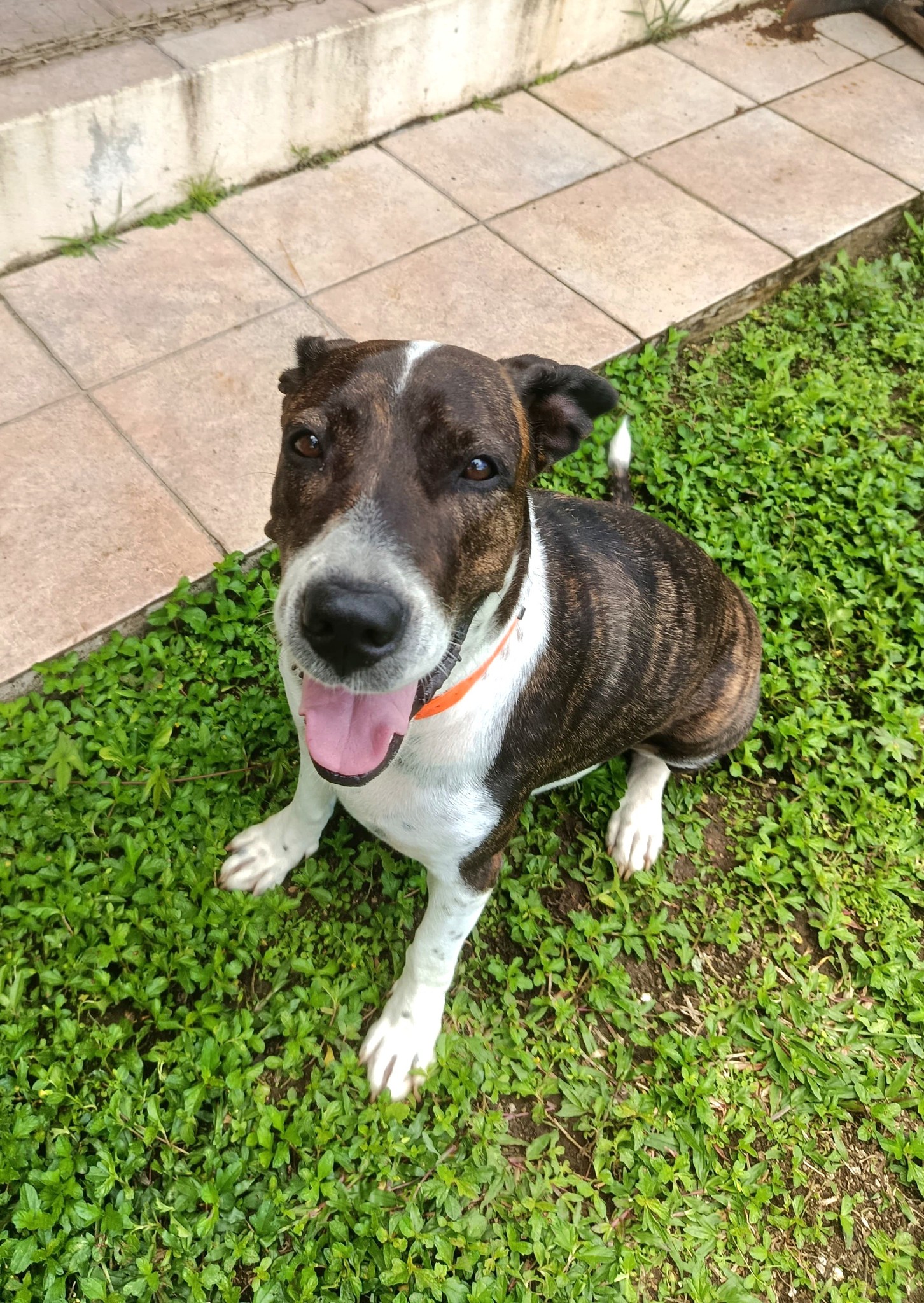 frida/photo-1753990934450-07.jpg