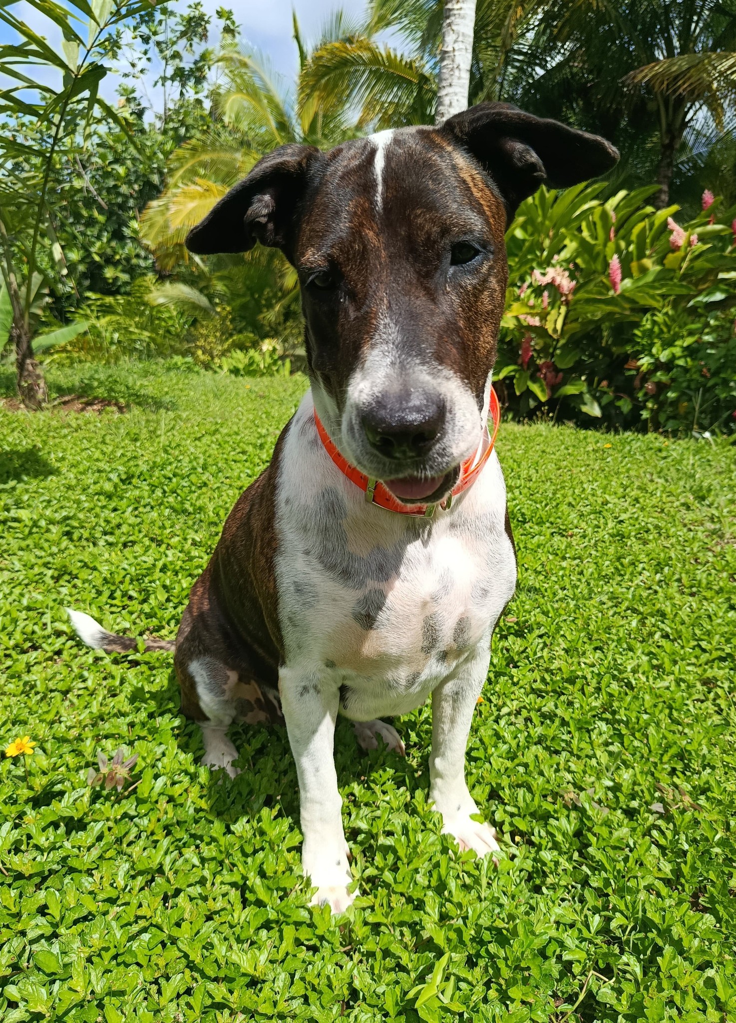 frida/photo-1753990935544-08.jpg