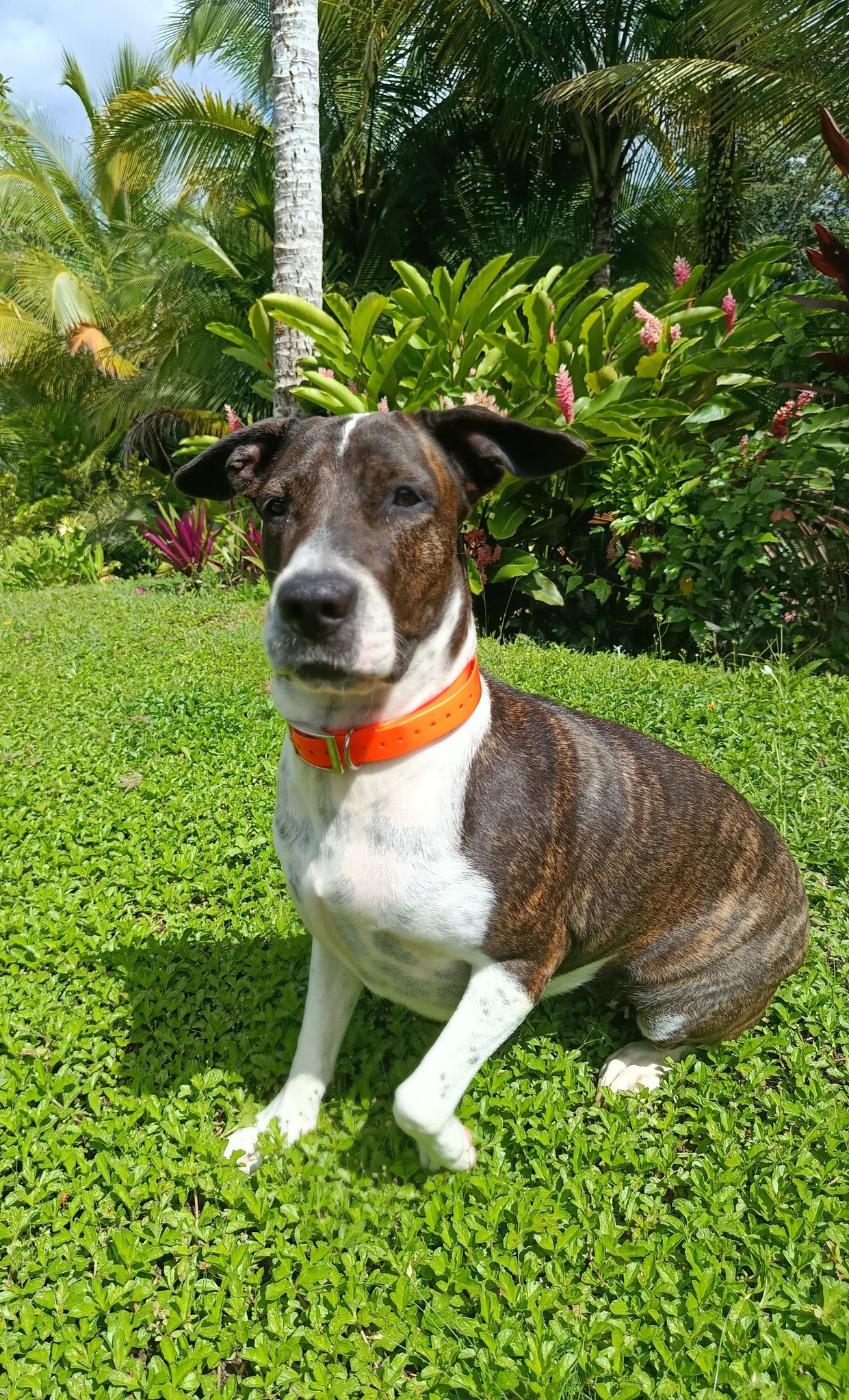 frida/photo-1753990936629-09.jpg
