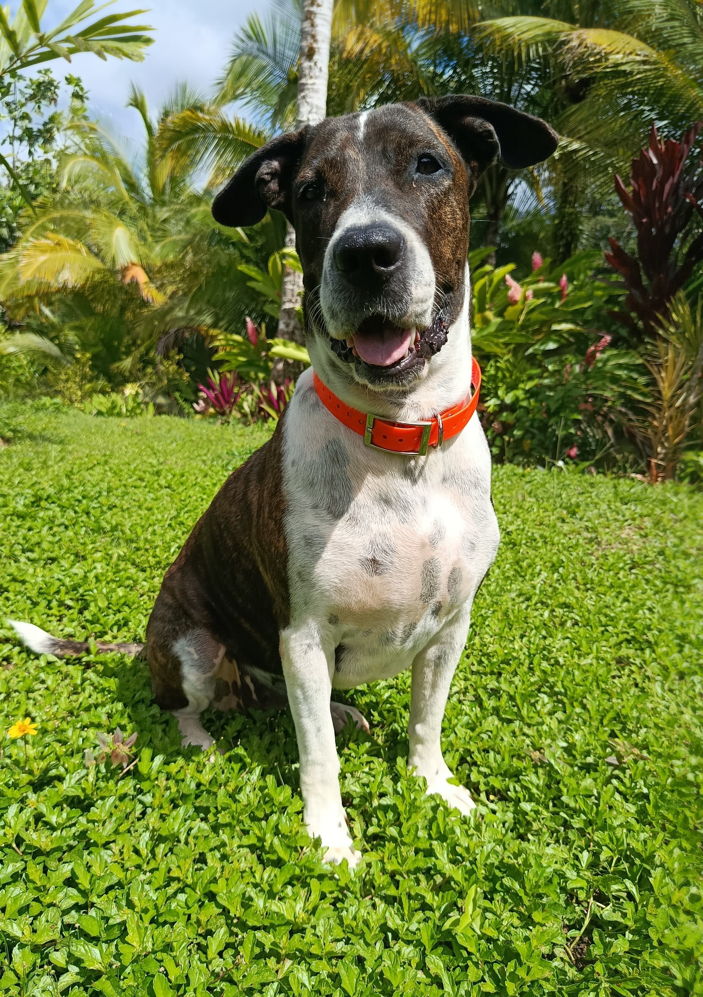 frida/photo-1753990938812-11.jpg