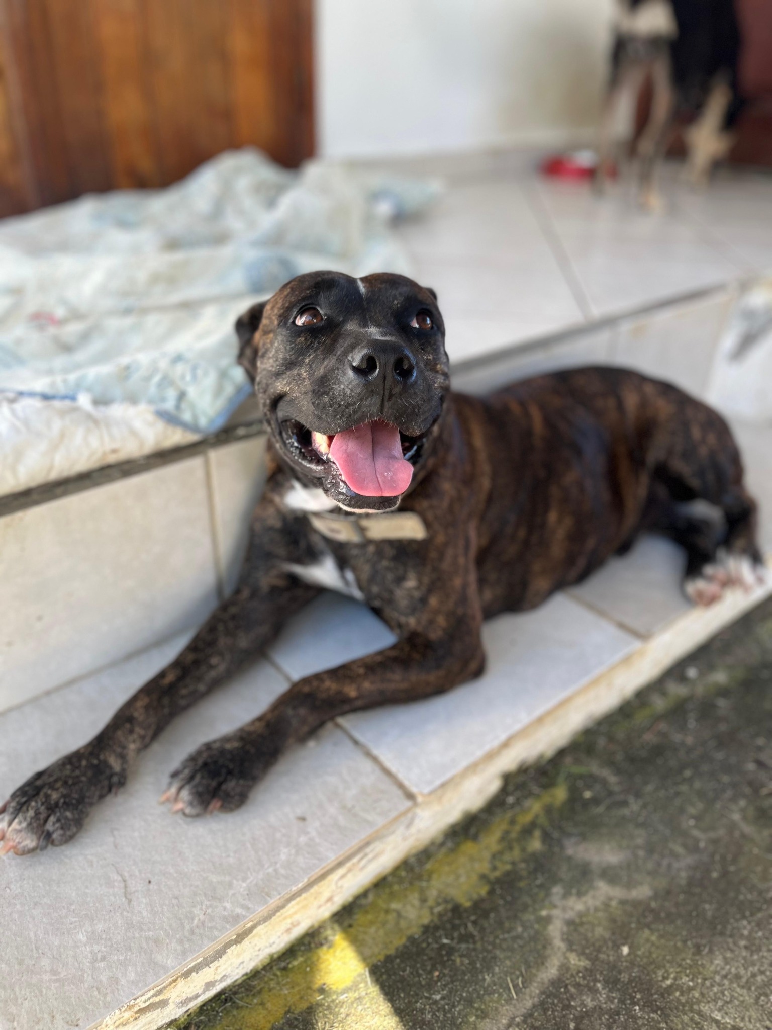 keela/photo-1753990949821-04.jpg