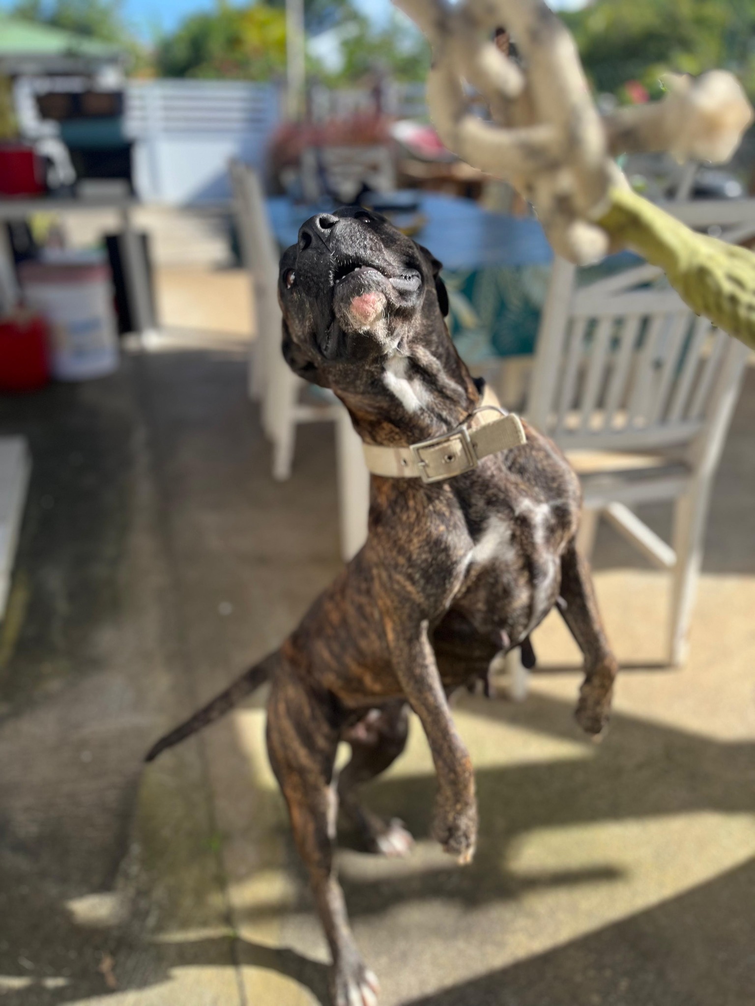 keela/photo-1753990953059-07.jpg