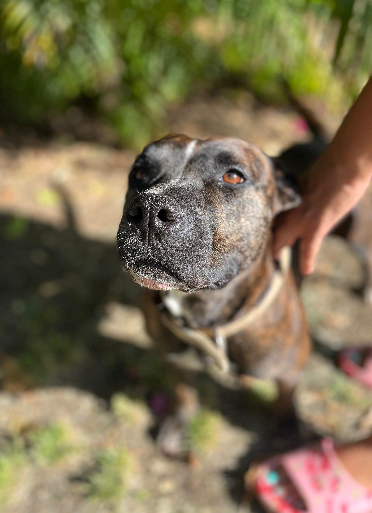 keela/photo-1753990954142-08.jpg