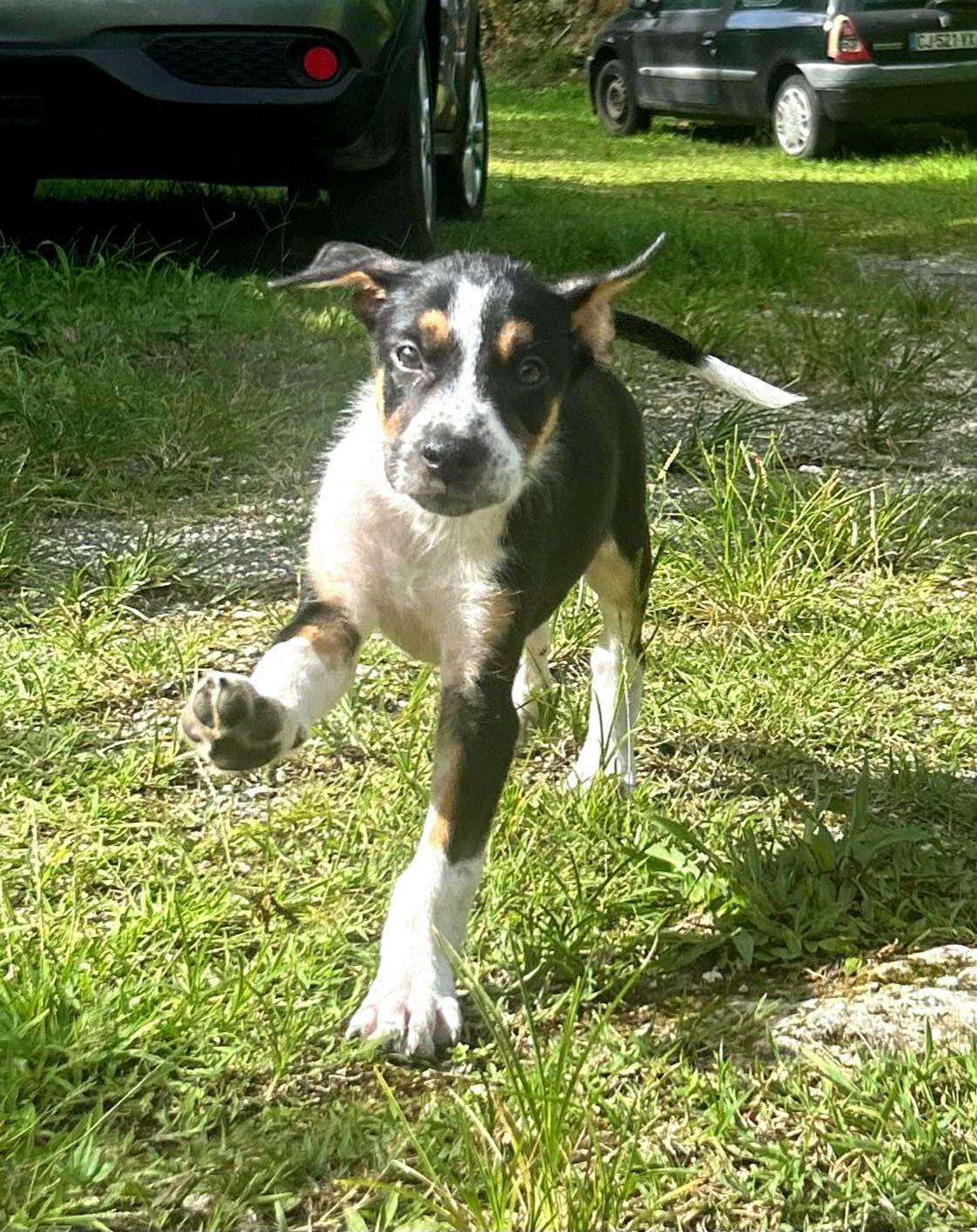 kiwi/photo-1753990484179-10.jpg