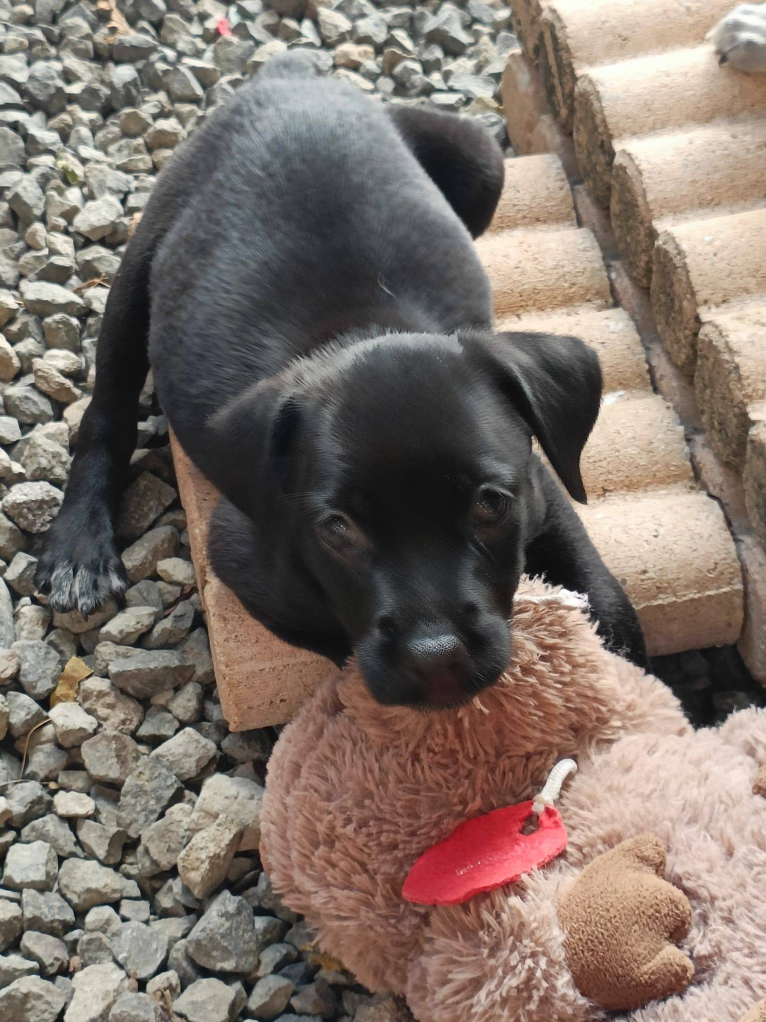 08-672132845_1390341156461443_2555459213537692650_n.jpg