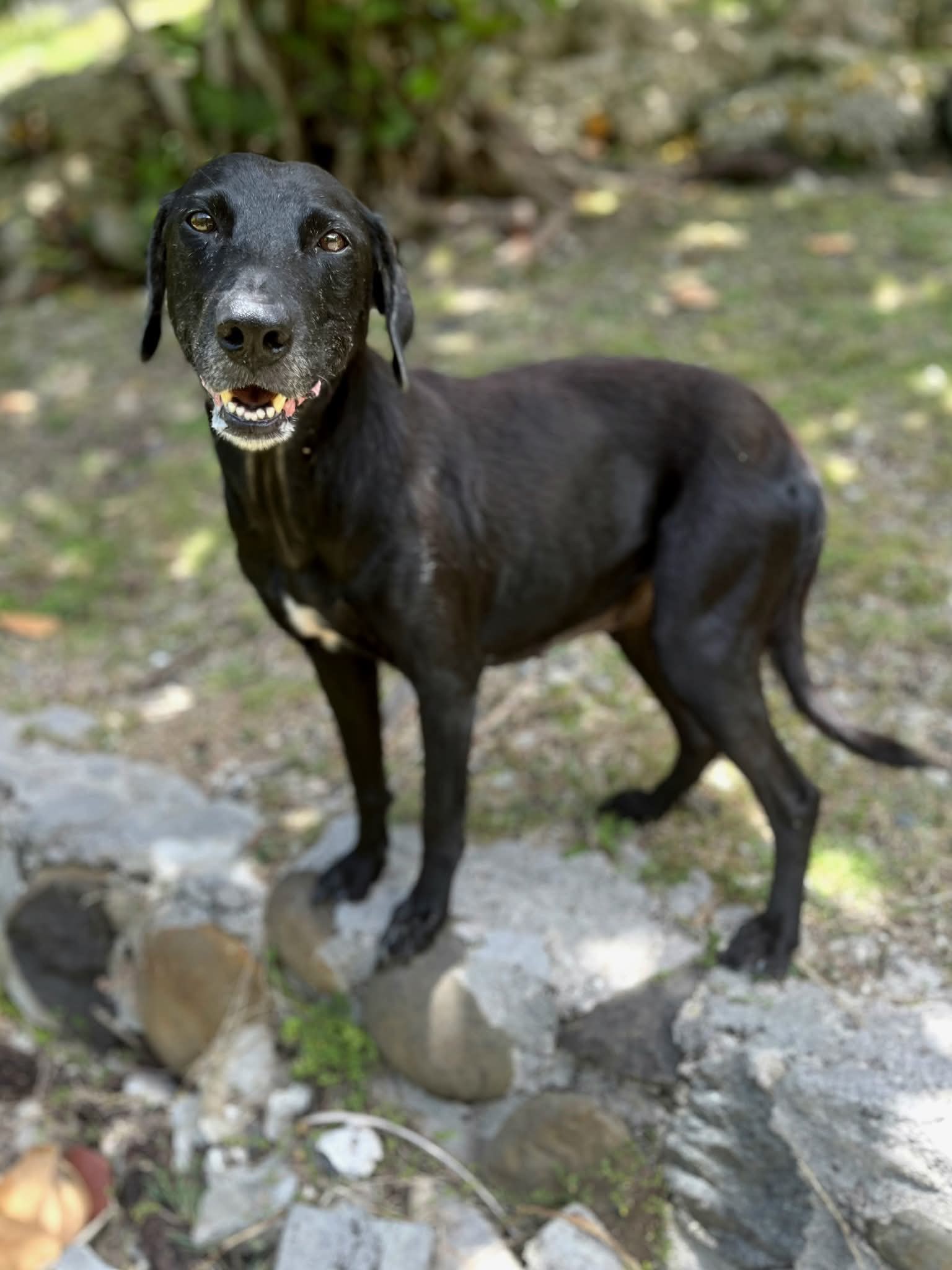 lyka/photo-1758262996081-09.jpg