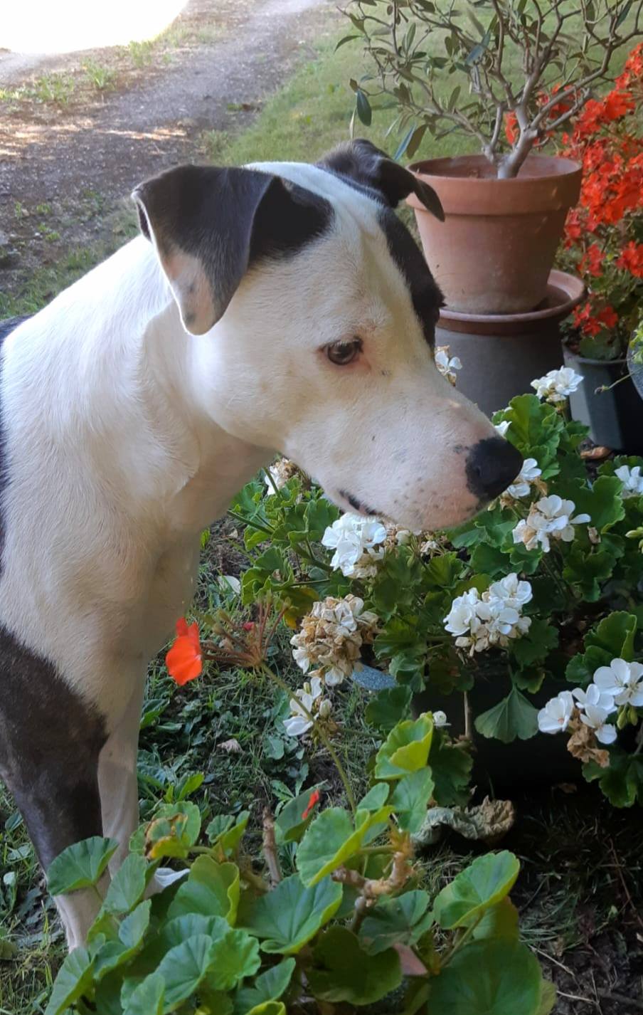 marley/photo-1753990709932-05.jpg