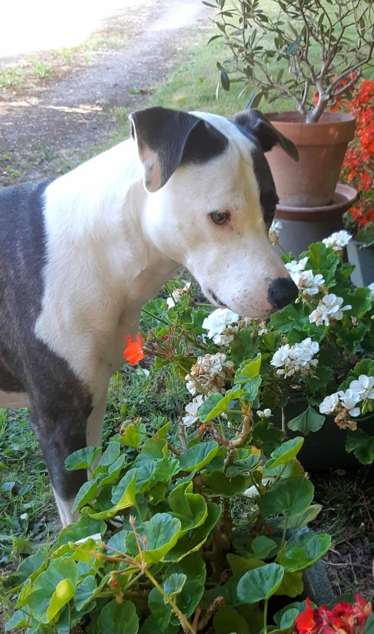 marley/photo-1753990710996-06.jpg