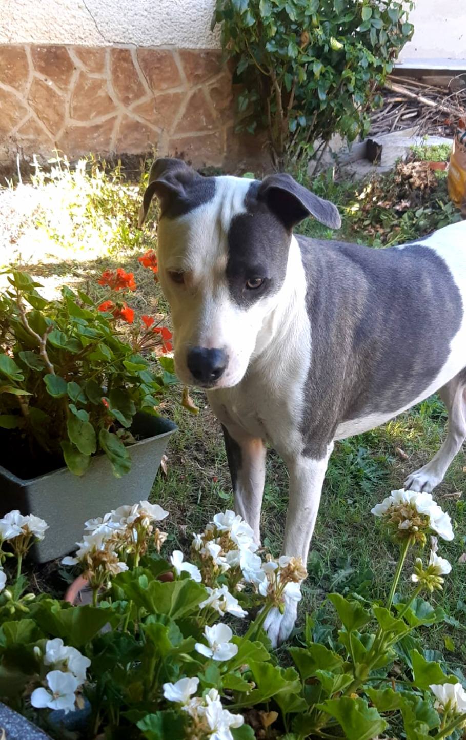 marley/photo-1753990713127-08.jpg