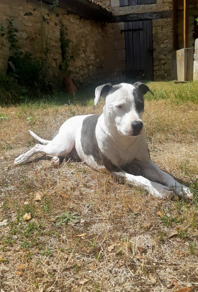 marley/photo-1758263229748-08.jpg
