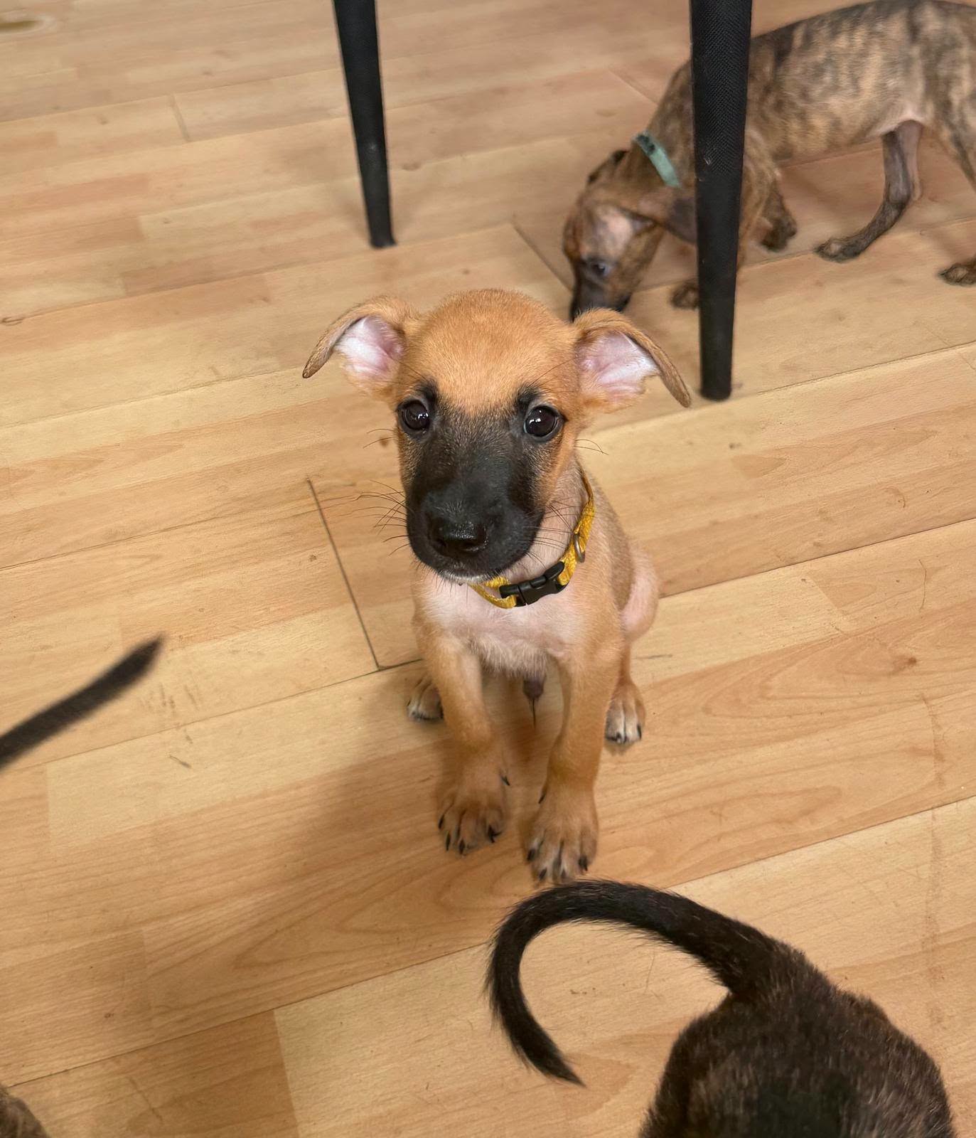 01-753857409_1760944171715192_5782236611157523987_n.png