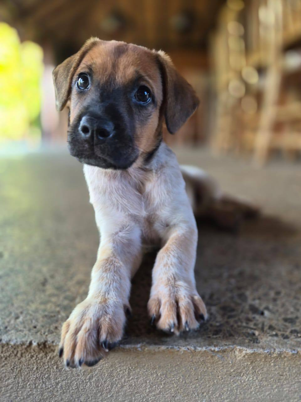 rhoda/photo-1758359633624-08.jpg