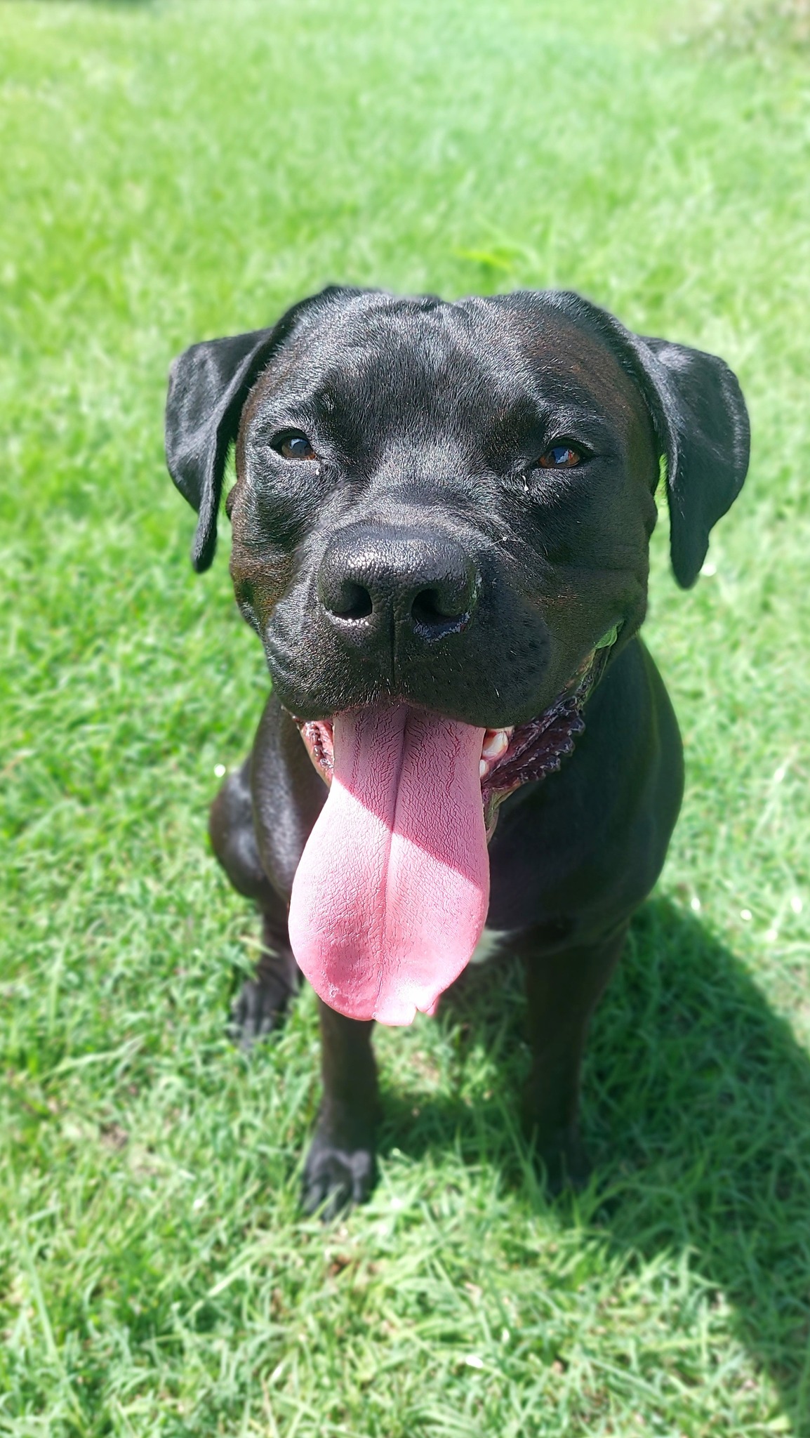 tito/photo-1753990723867-01.jpg