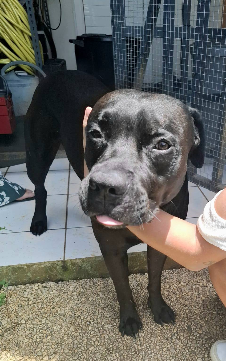 tito/photo-1753990734564-11.jpg