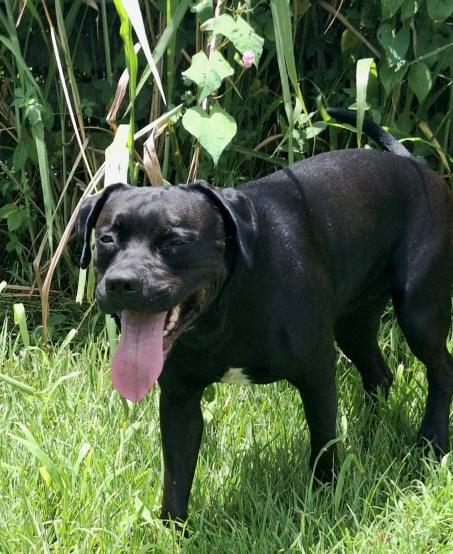 tito/photo-1753990735630-12.jpg