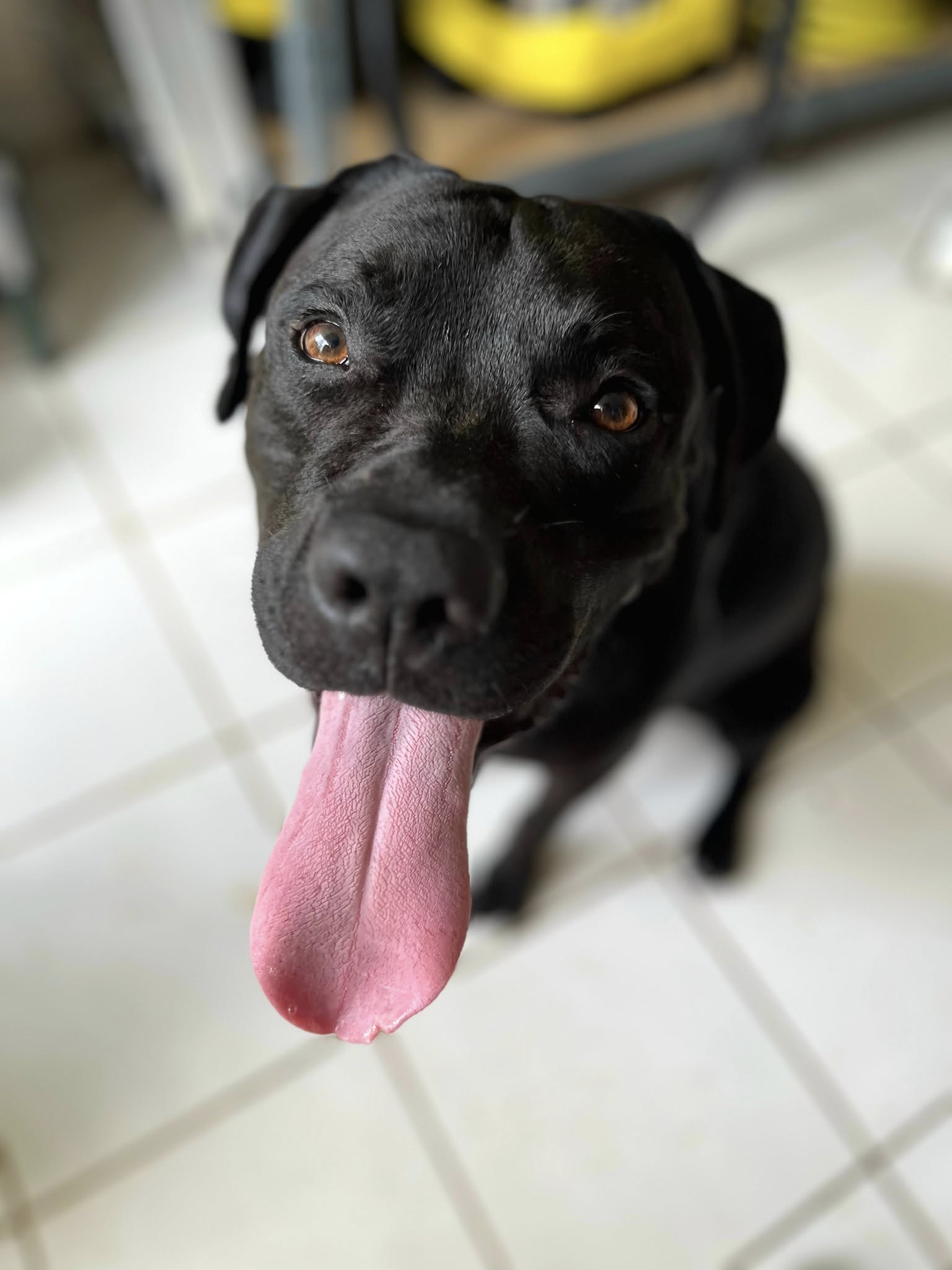 tito/photo-1758263007025-02.jpg