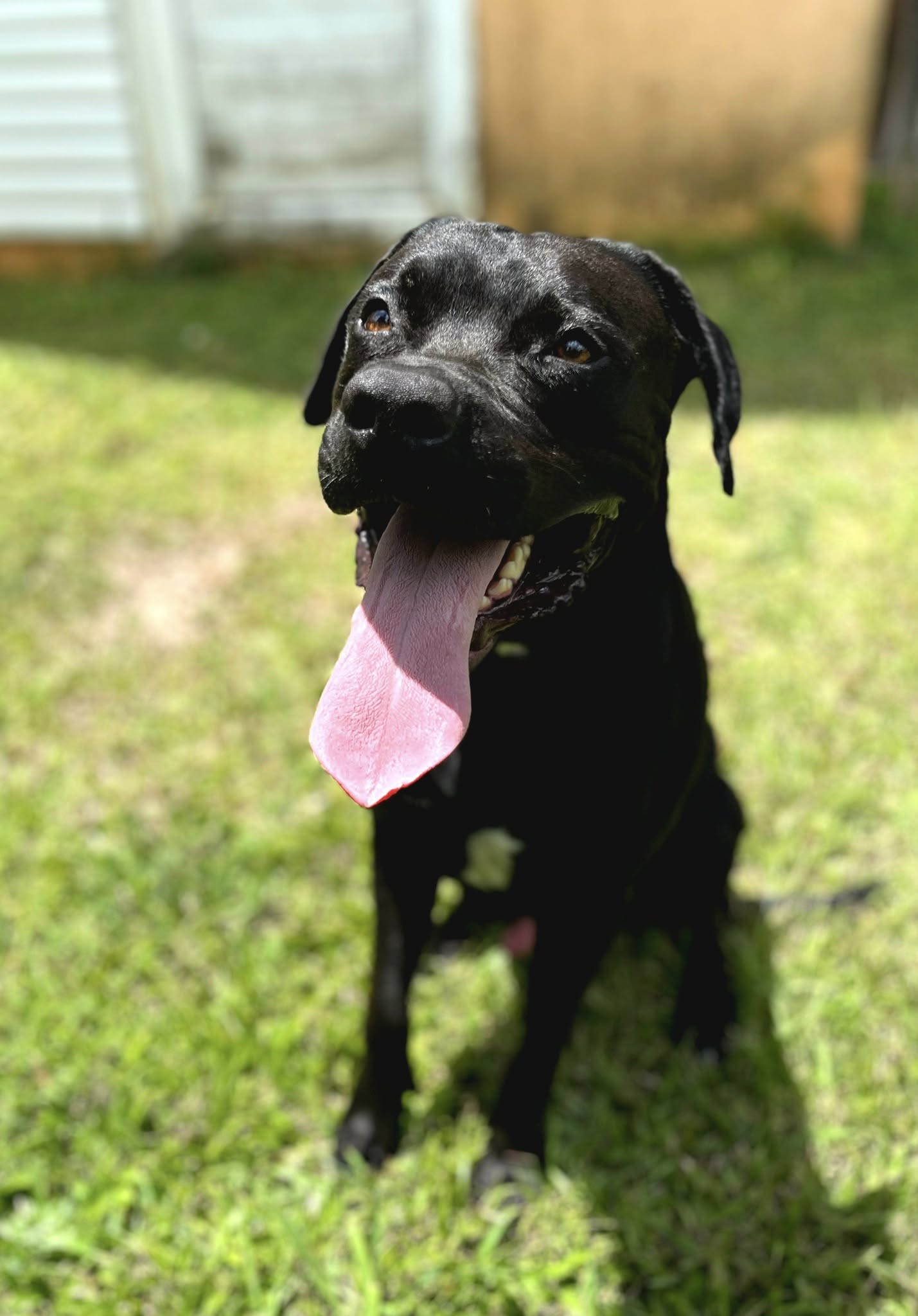 tito/photo-1758263009150-04.jpg