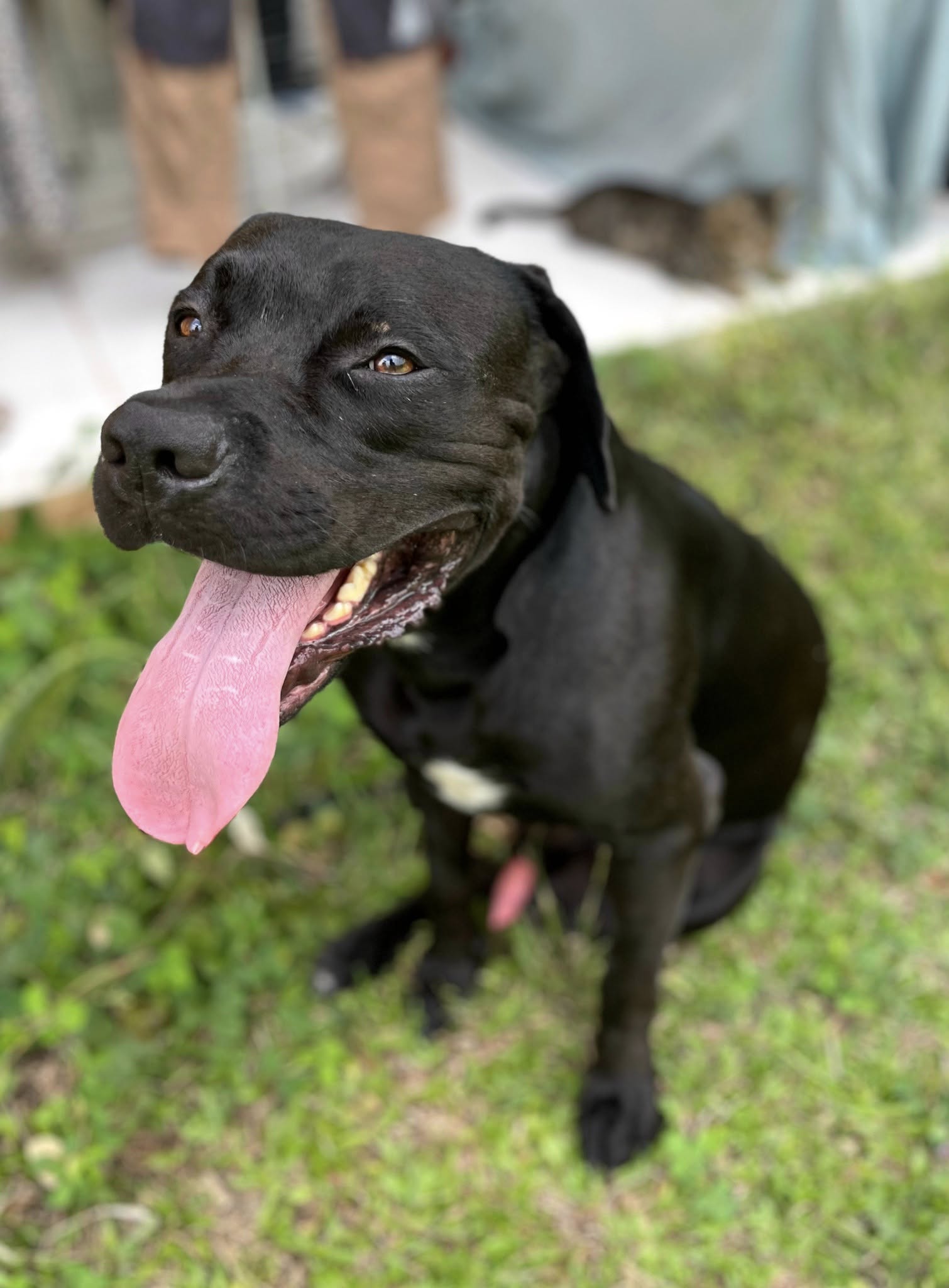 tito/photo-1758263010205-05.jpg