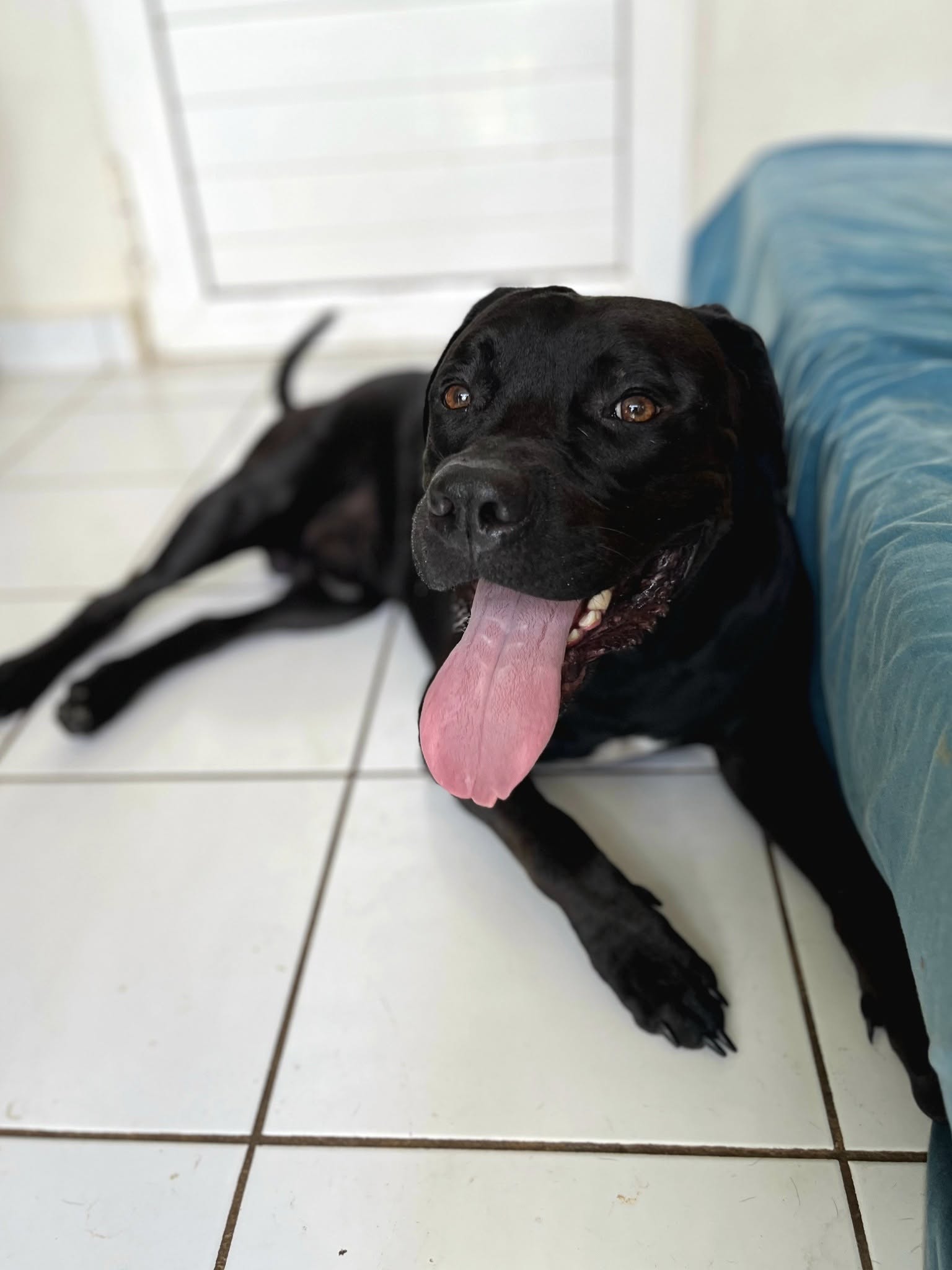 tito/photo-1758263011289-06.jpg