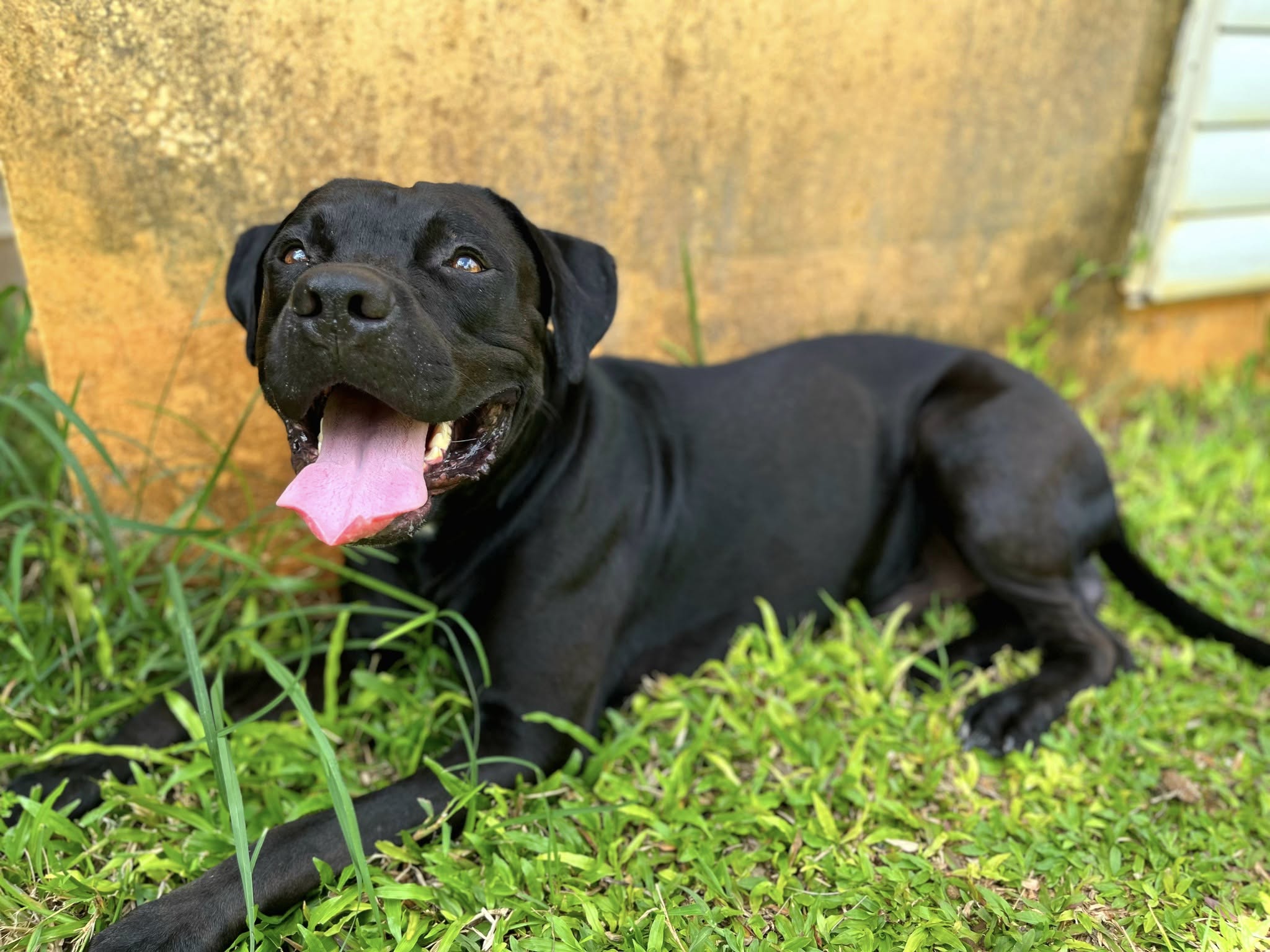 tito/photo-1758263015685-10.jpg