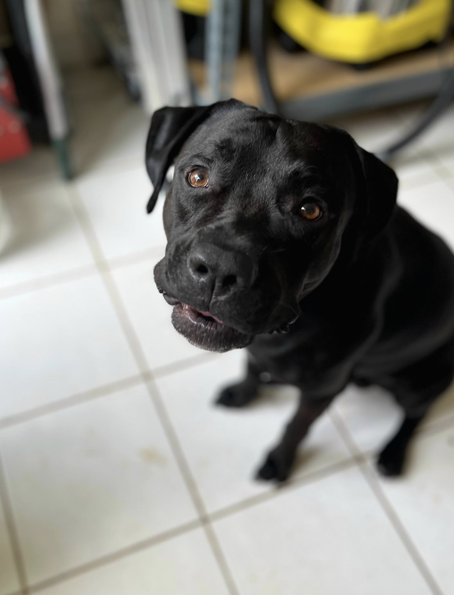tito/photo-1758263018990-13.jpg