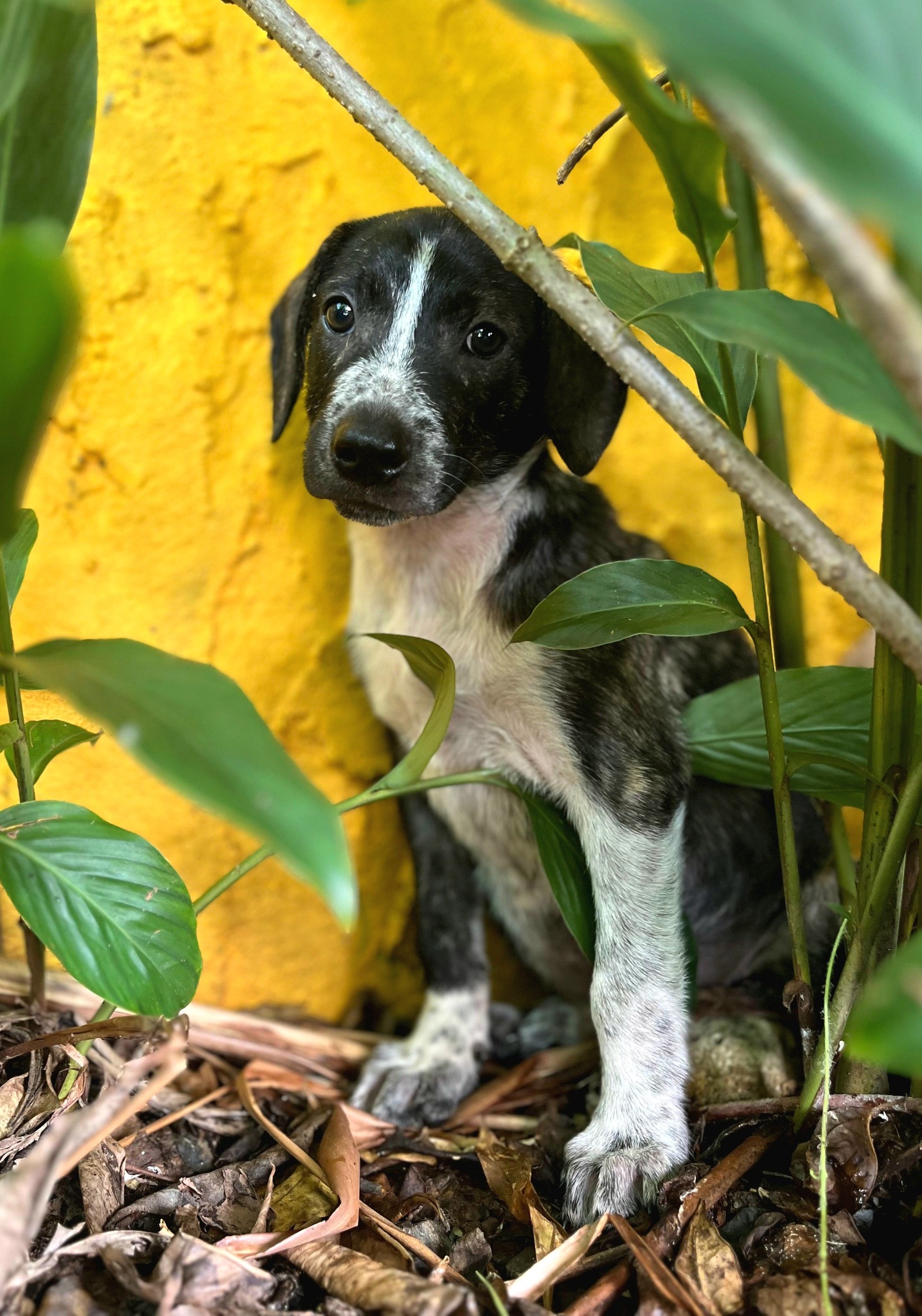 vito/photo-1753990908576-01.jpg