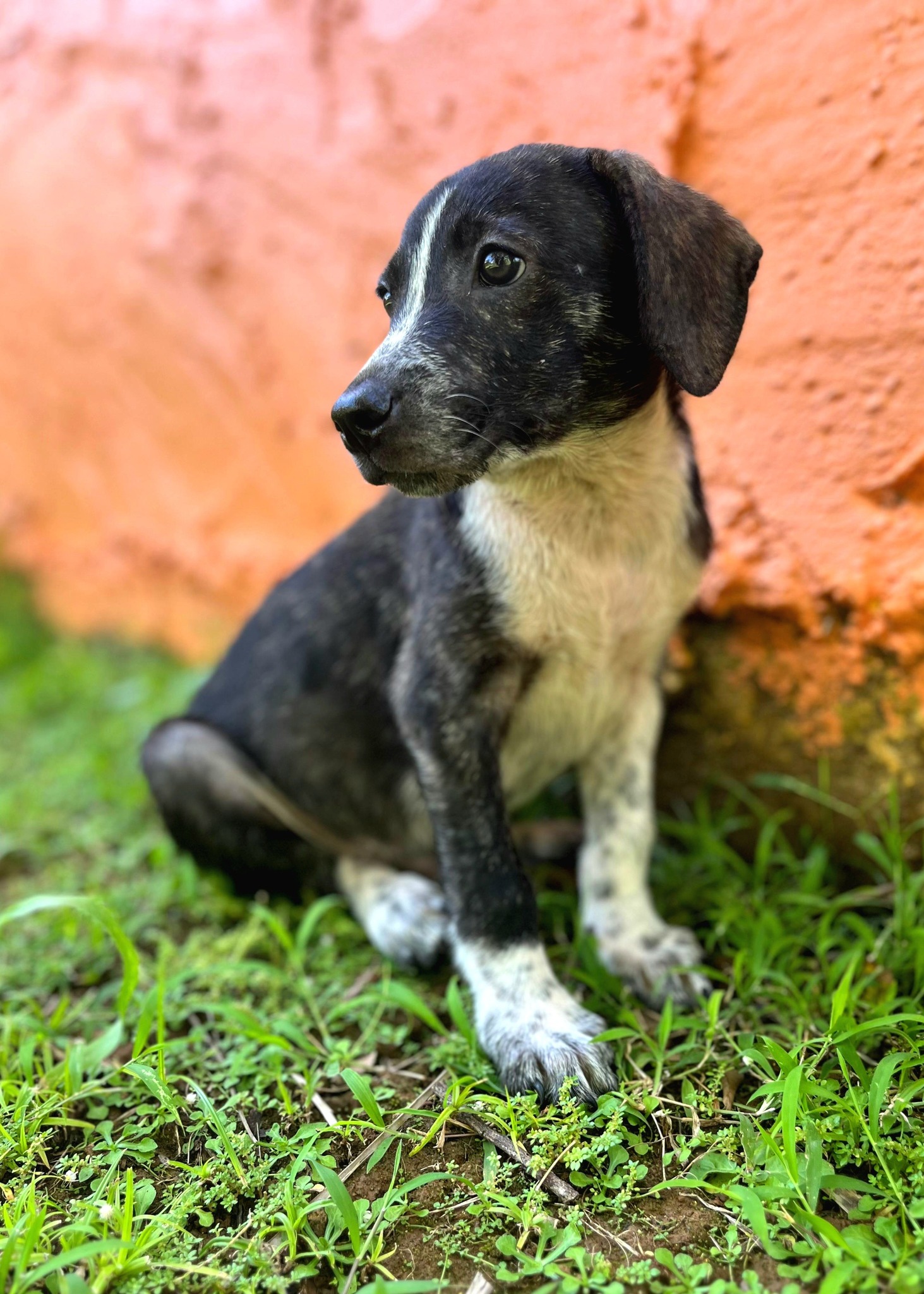 vito/photo-1753990909739-02.jpg