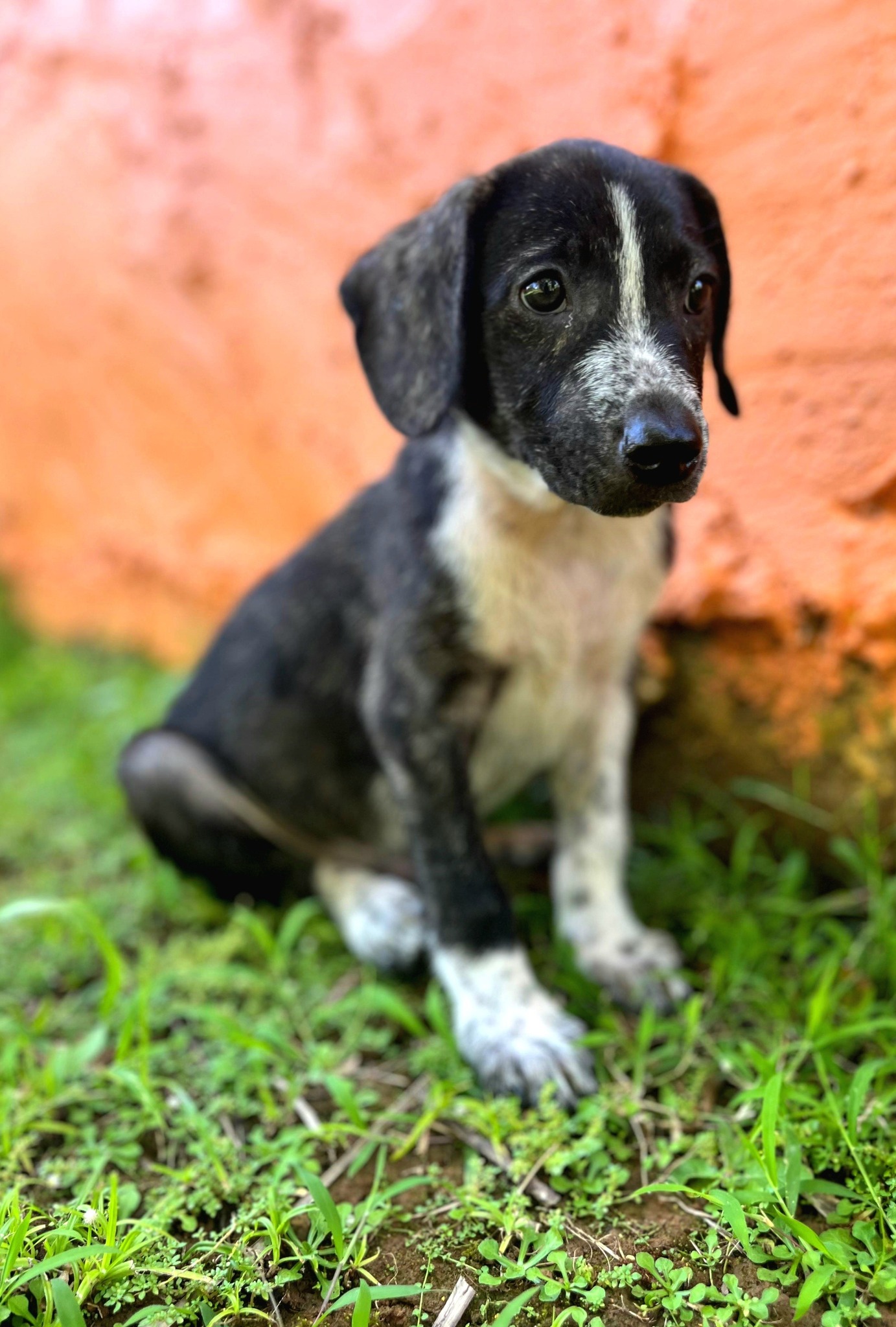 vito/photo-1753990913050-05.jpg