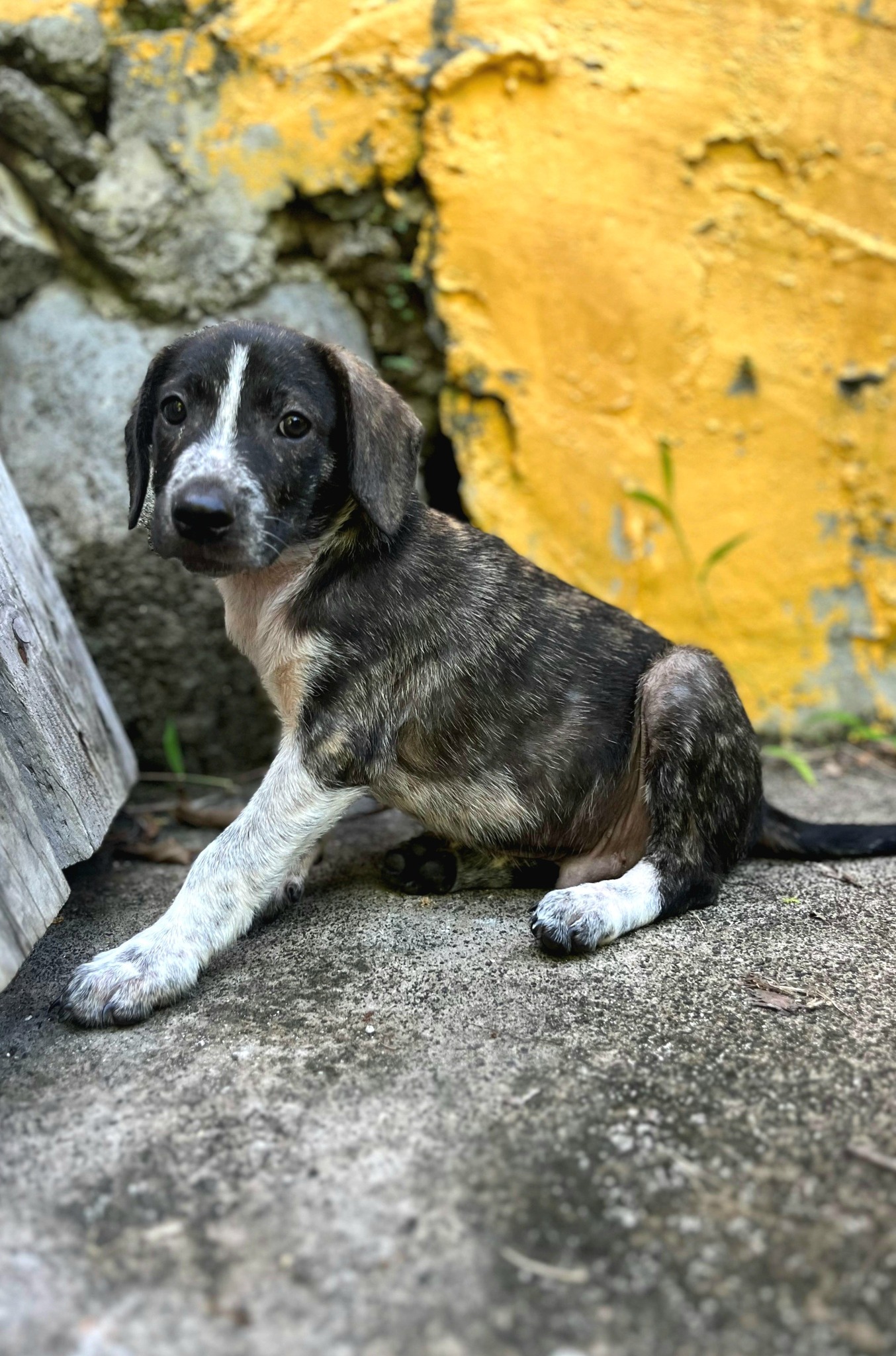 vito/photo-1753990916360-08.jpg