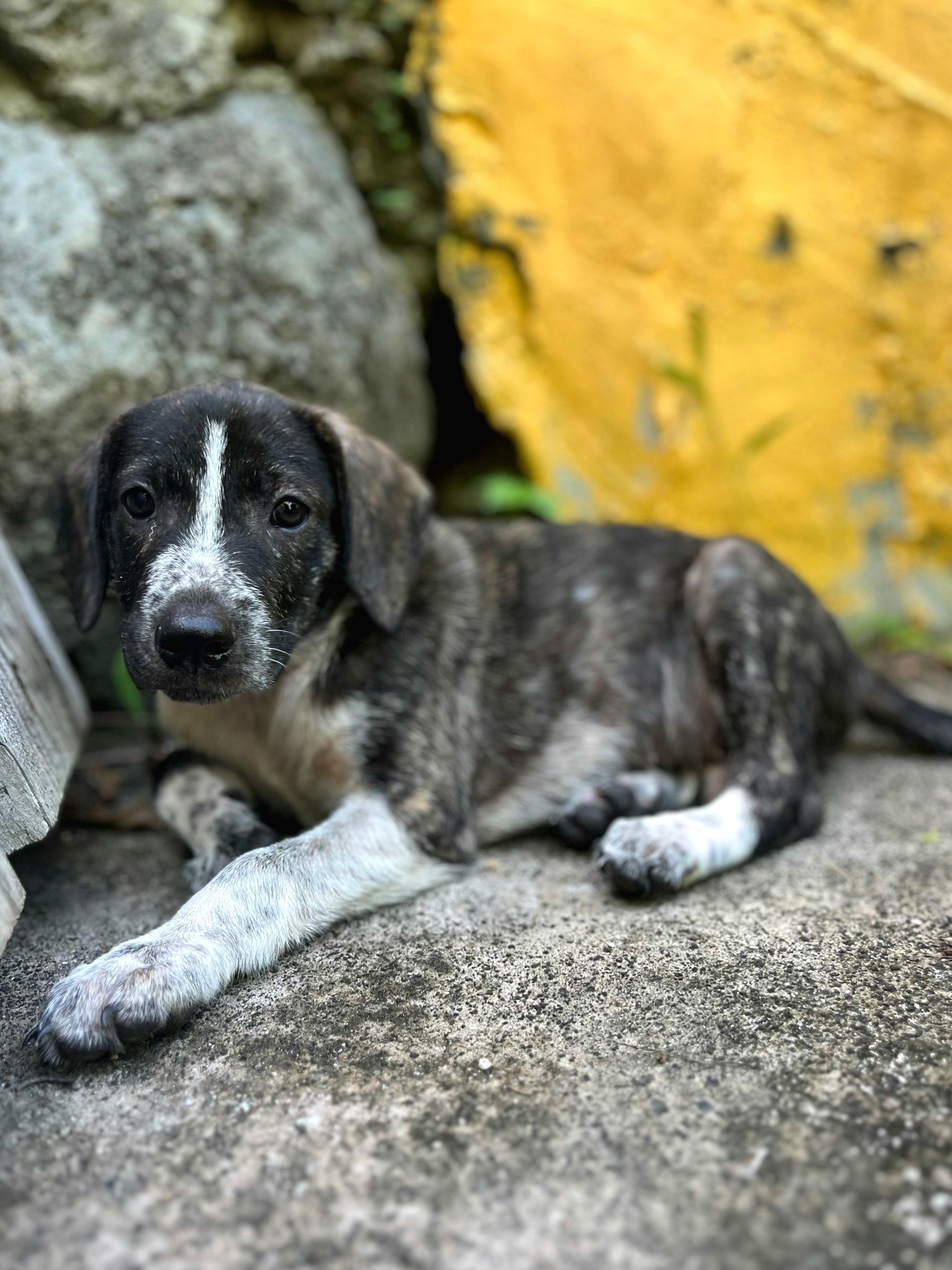 vito/photo-1753990918595-10.jpg