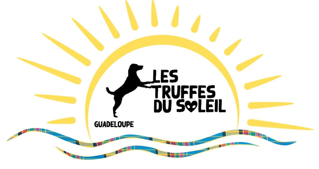 Les Truffes du Soleil